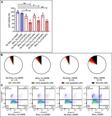 Ultrasound-Mediated Drug Delivery With a Clinical Ultrasound System: In Vitro Evaluation